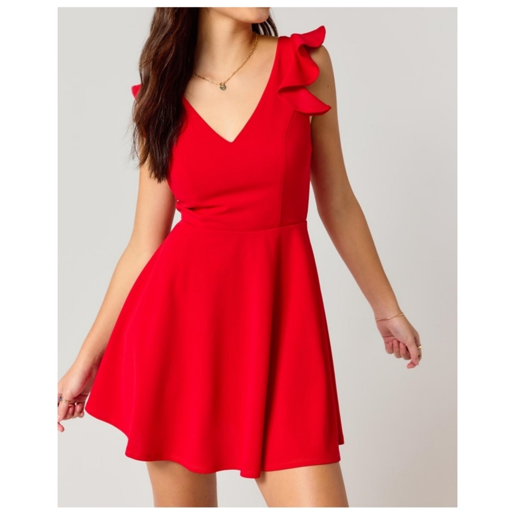 NWT Francesca's Mia Ruffle Sleeve Mini Dress